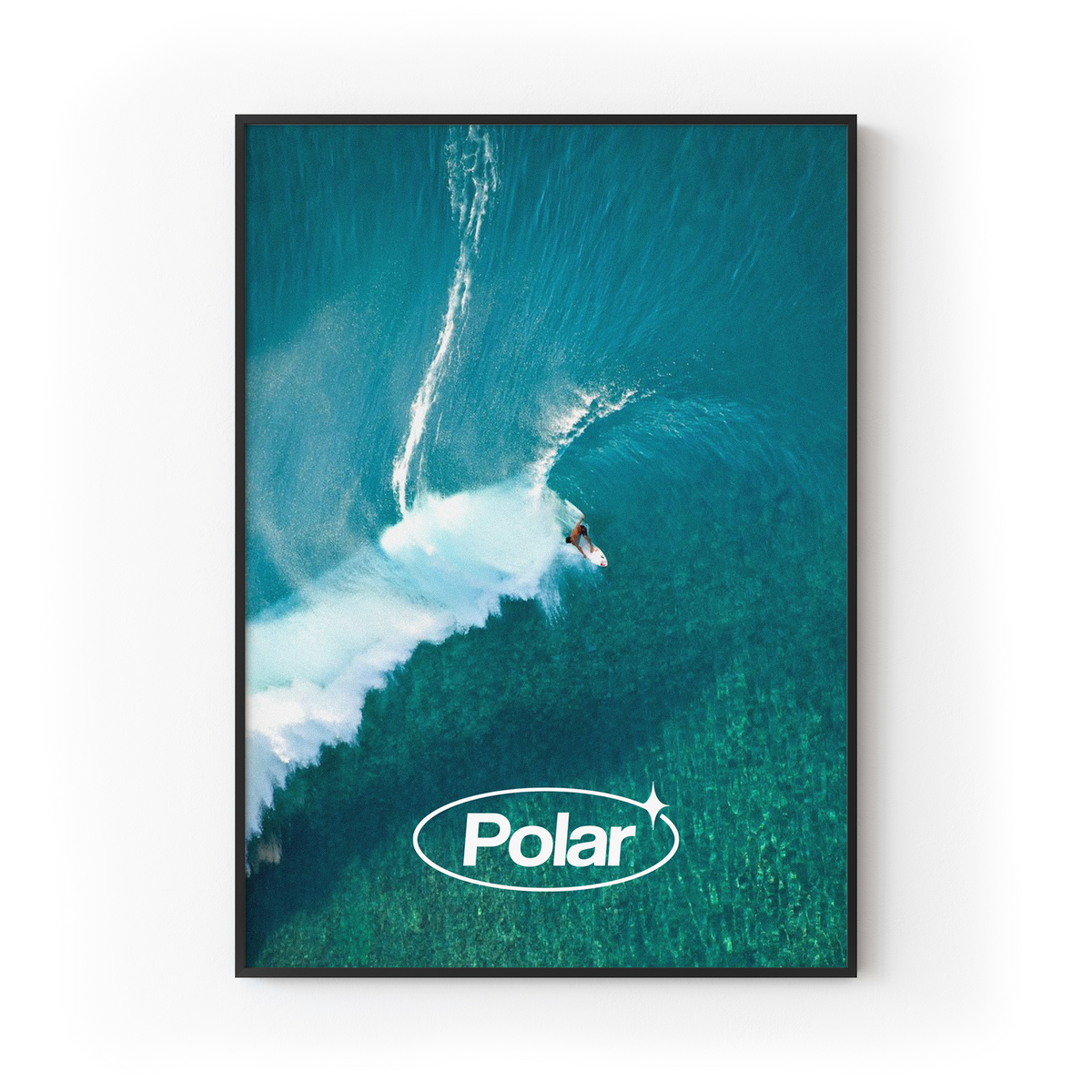 Polar Surfing Print