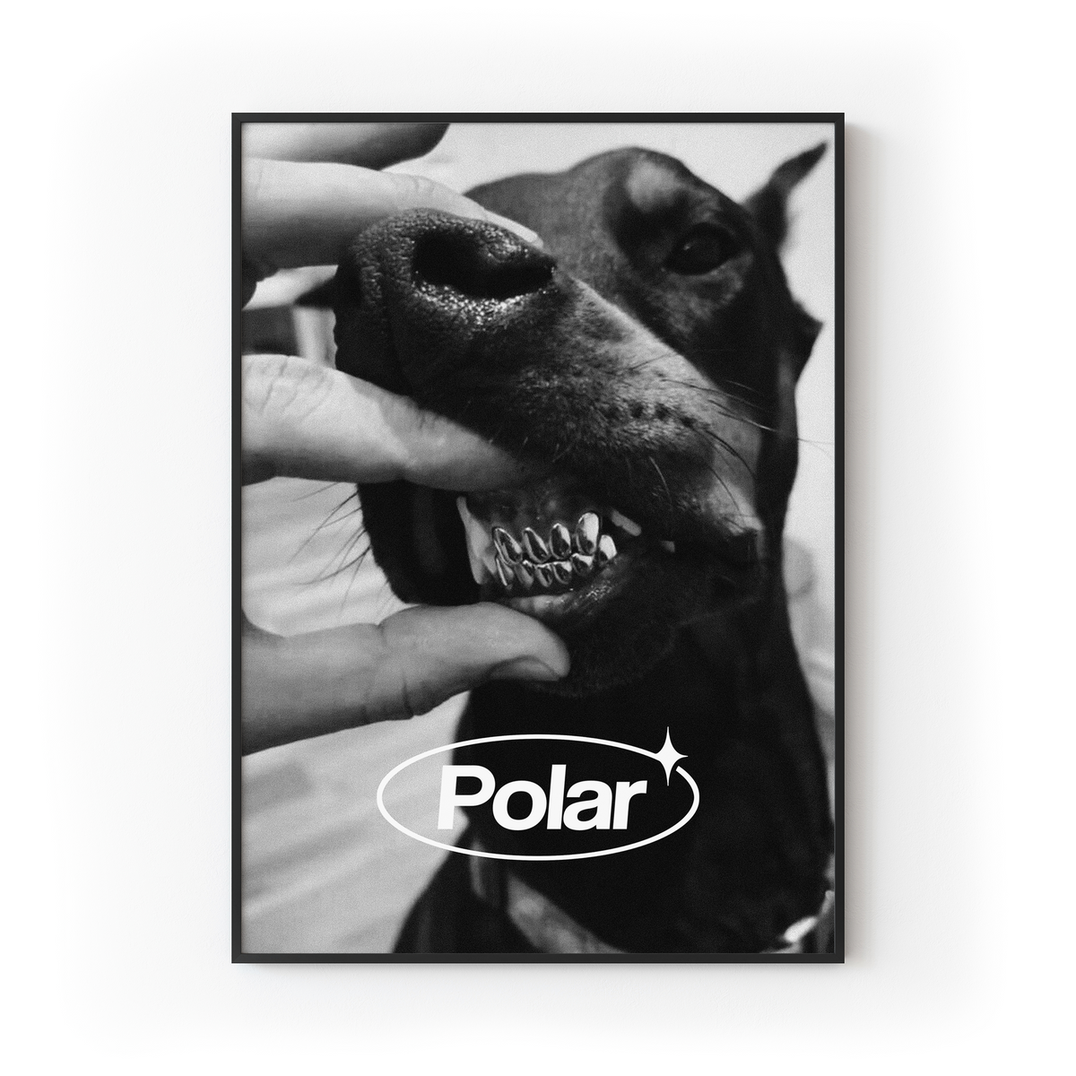 Polar Doggy Print